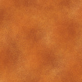 The Shadow Blush collection is a bunch of lovely solids with a hi
