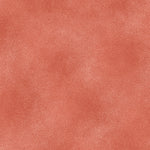 The Shadow Blush collection is a bunch of lovely solids with a hi