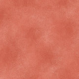 The Shadow Blush collection is a bunch of lovely solids with a hi