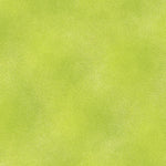 The Shadow Blush collection is a bunch of lovely solids with a hi