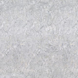 Forest Trails Batiks 1400-22317-199 Cream/Gray