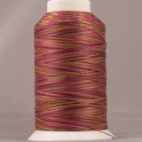 Fusions #09V - Gladiolus Cone