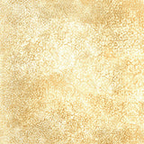 ScrollScapes Parchment
