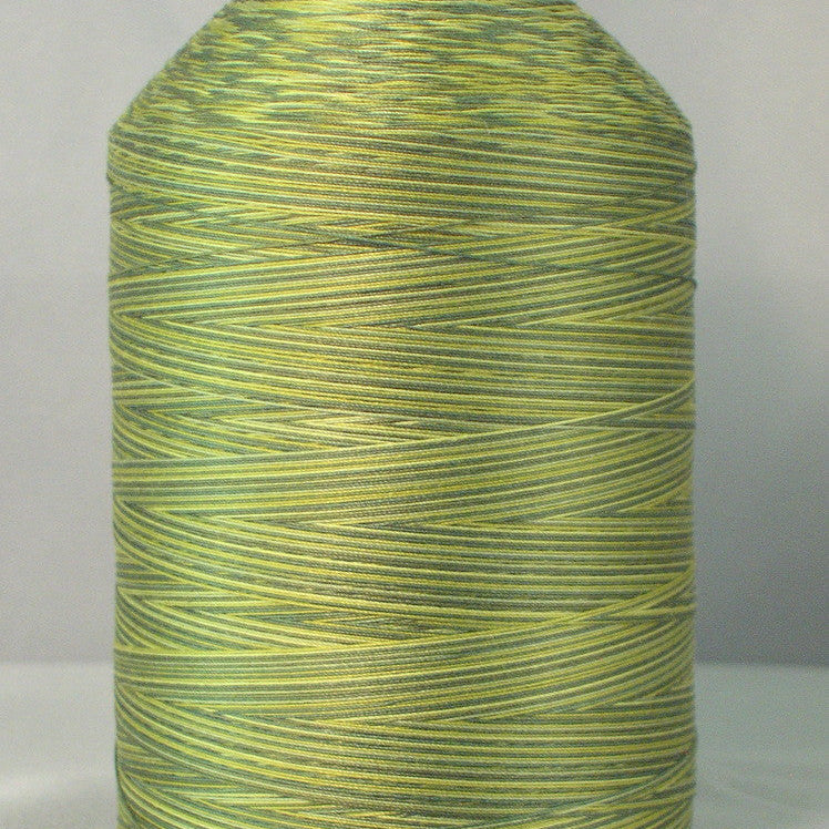 Green and yellow variegated 40 wt machine quilting thread wound on white cone spool