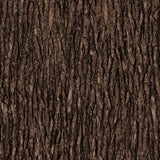 Open Air Bark