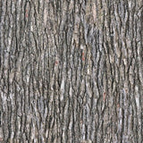 Open Air Ash
