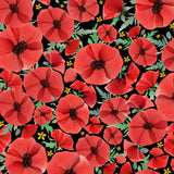Wildflowers Multi A