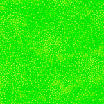 Add depth, dimension, and vivid color to any project with QT’s ne