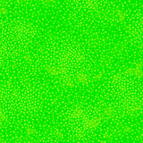 Add depth, dimension, and vivid color to any project with QT’s ne