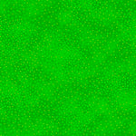 Add depth, dimension, and vivid color to any project with QT’s ne