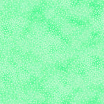 Add depth, dimension, and vivid color to any project with QT’s ne