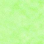 Add depth, dimension, and vivid color to any project with QT’s ne