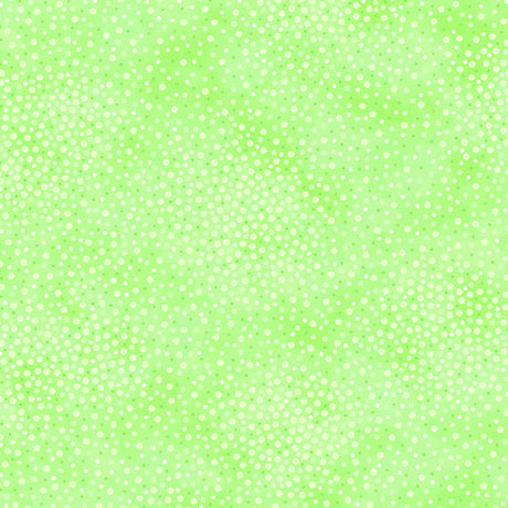 Add depth, dimension, and vivid color to any project with QT’s ne