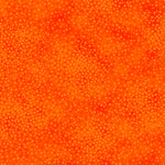 Add depth, dimension, and vivid color to any project with QT’s ne