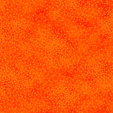 Add depth, dimension, and vivid color to any project with QT’s ne