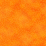 Add depth, dimension, and vivid color to any project with QT’s ne