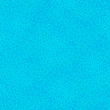 Add depth, dimension, and vivid color to any project with QT’s ne