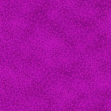 Add depth, dimension, and vivid color to any project with QT’s ne