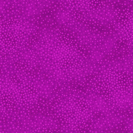 Add depth, dimension, and vivid color to any project with QT’s ne