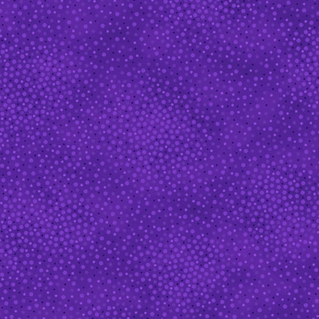 Add depth, dimension, and vivid color to any project with QT’s ne