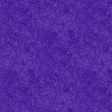 Live Out Loud Violet