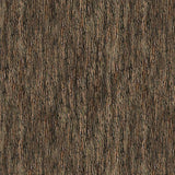 Forest Light Bark