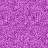 Whimsy Fuchsia