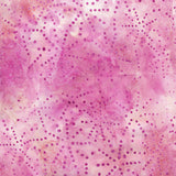 Sea Cookies Pink Bubblegum