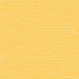 Moonscape Yolk
