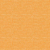 Moonscape Marigold