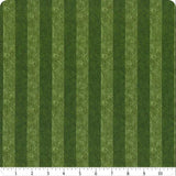Fall is Football 49230707-01 Field Stripes Green