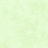 Shadow Play Julep Mint