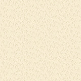 Cameo Cream G