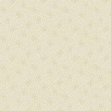 Cameo Cream B