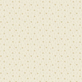 Cameo Cream E