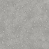 Starry Basics Gray