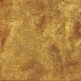 Harvest Night Acorn B