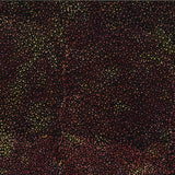 Bali Batik Handpaints Spice