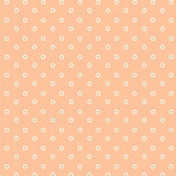 Honey Bear 89230106-03 Peach