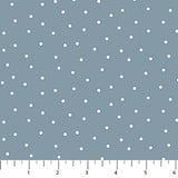 Blue background with scattered white dots.