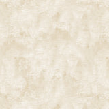 Chalk Texture Pale Latte