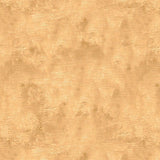 Chalk Texture Wheat