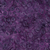 Fairy Floss 322303455 Purple Pansy