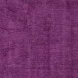 Chalk and Charcoal Heliotrope