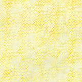 Waiting For The Sun Batiks Sunburst C