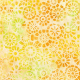 Waiting For The Sun Batiks Sunburst B
