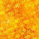 Summer Zest Batiks Orangeade B