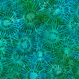 Celestial Batiks Aqua
