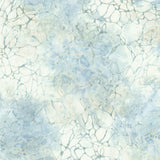 Patterns in Nature Batiks AMD-22681-344 Cobblestone