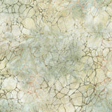 Patterns in Nature Batiks AMD-22681-376 Shell